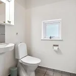 Rubinsoen Skovhuse * Хасле